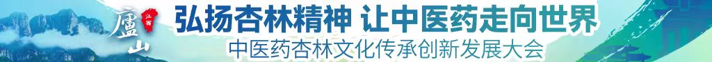 大鸡巴操骚屄免费视频中医药杏林文化传承创新发展大会